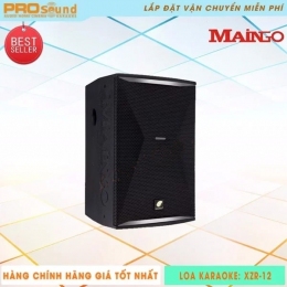 Loa Karaoke Maingo XZR 12