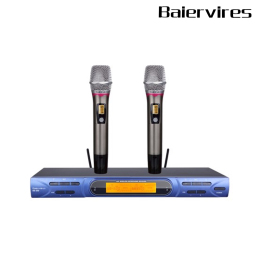 Micro Karaoke Baiervires BS550