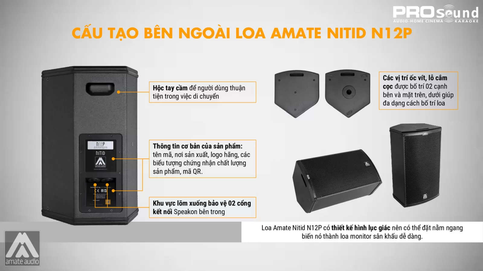 mặt sau loa amate n12p