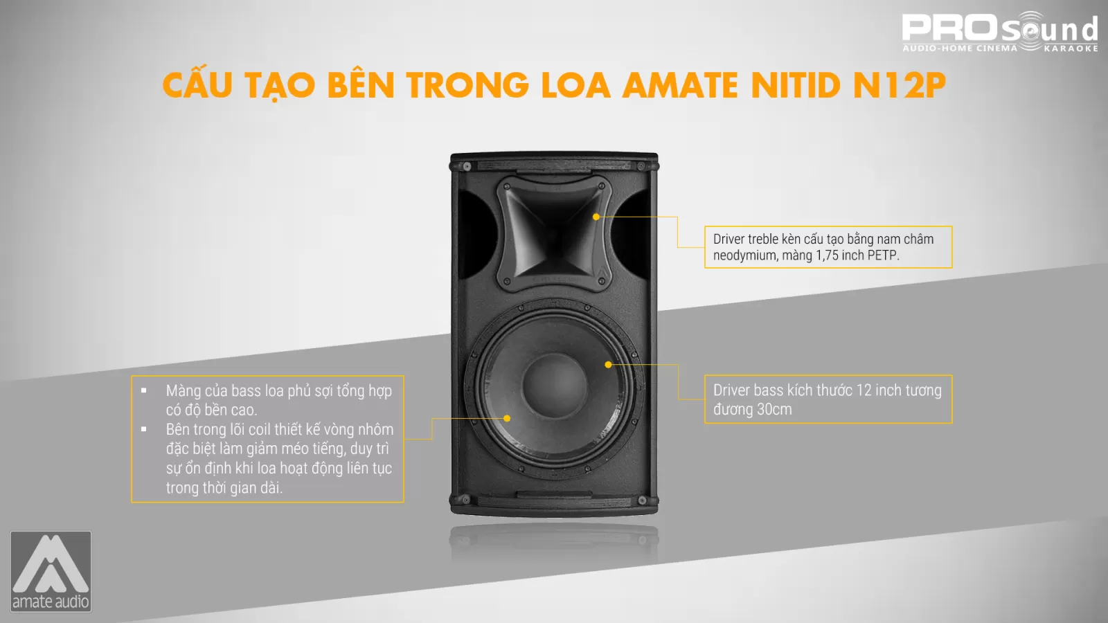 cấu tạo bên trong loa amate n12p