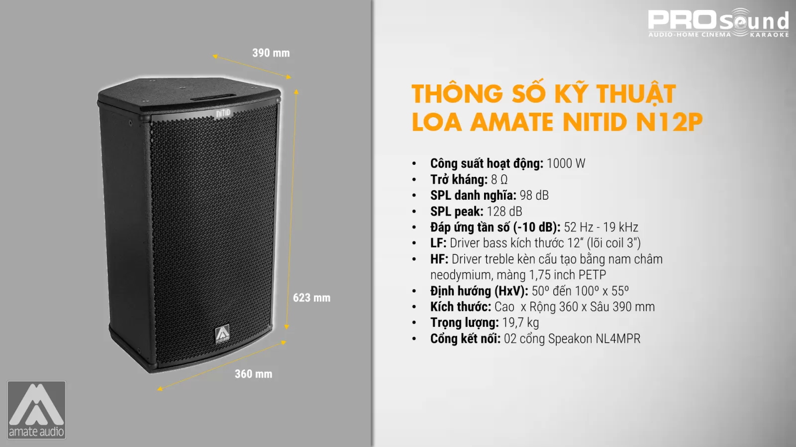 thông số kĩ thuật loa amate n12p