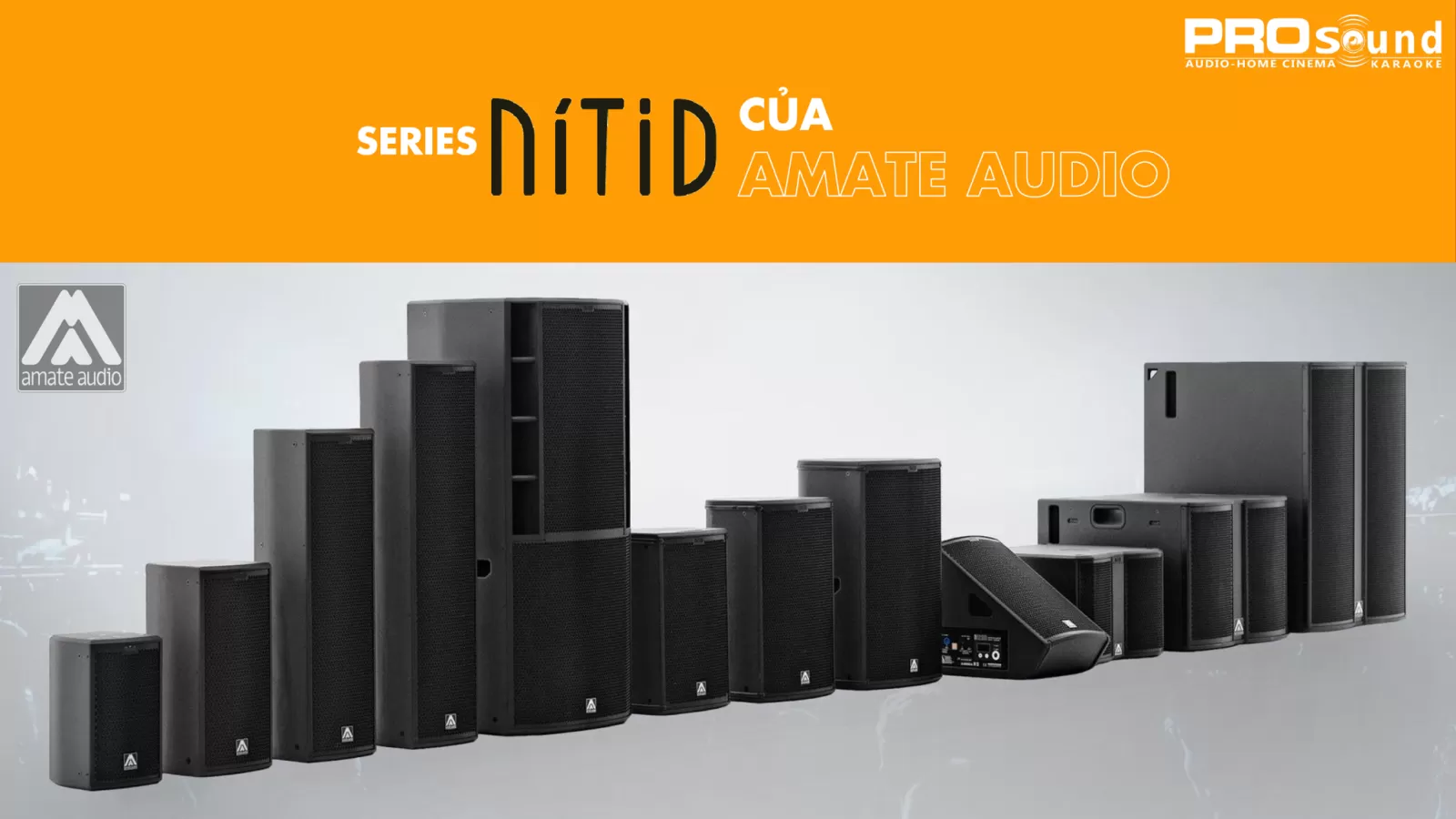 Series Nitid của Amate