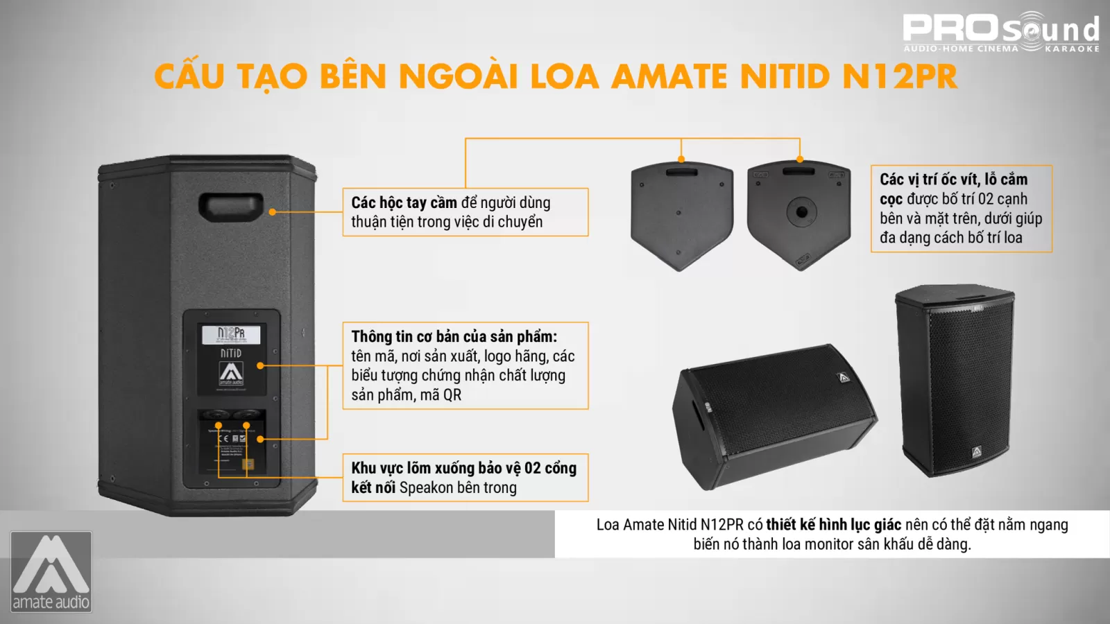 thùng loa amate n12pr