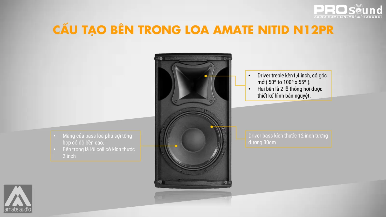 cấu tạo bên trong loa amate n12pr