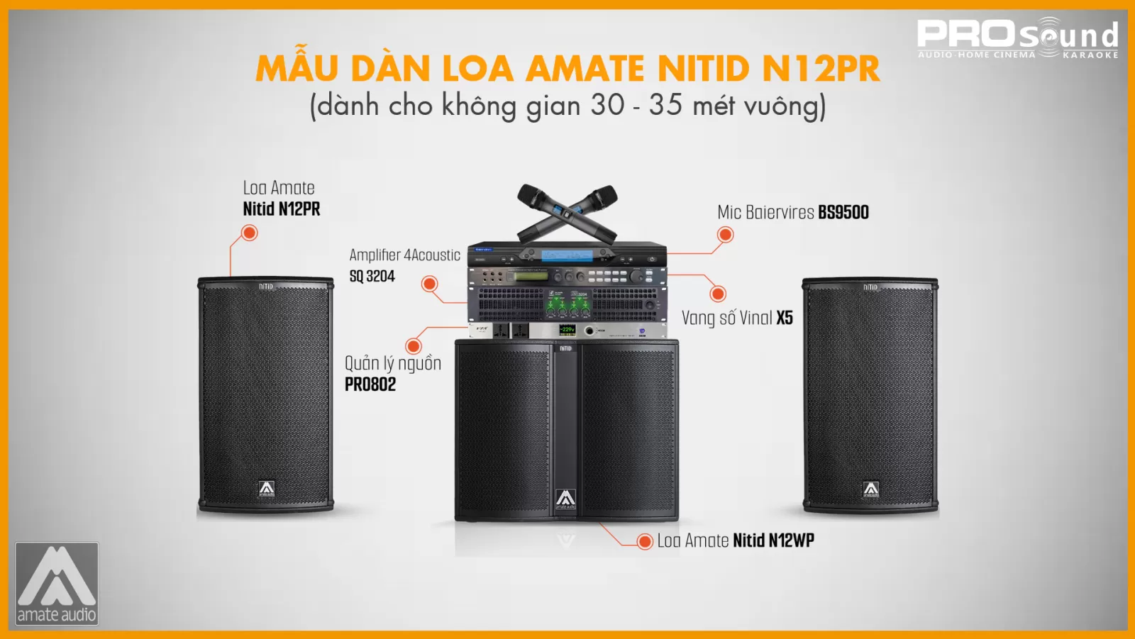 mẫu dàn loa amate n12pr