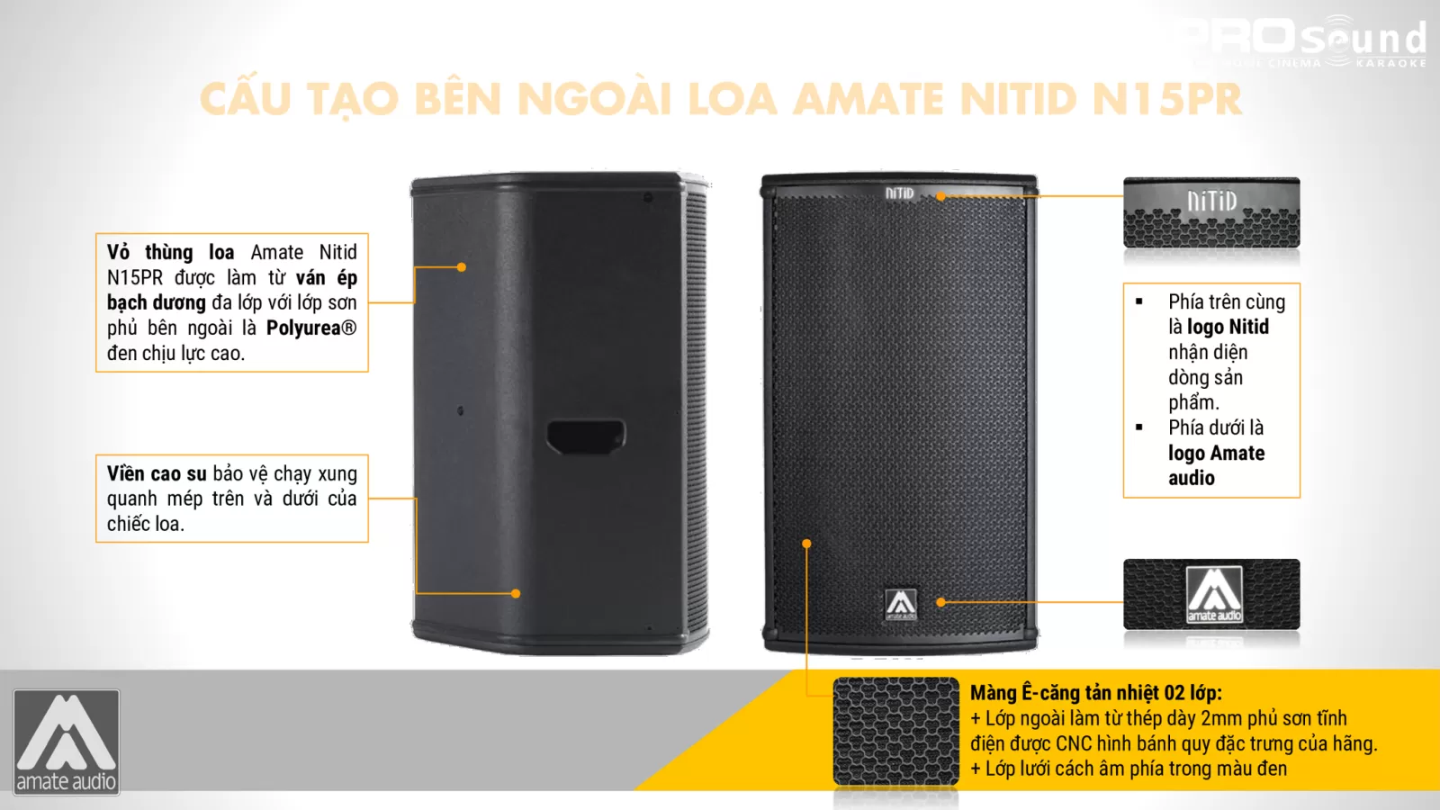 cấu tạo bên ngoài