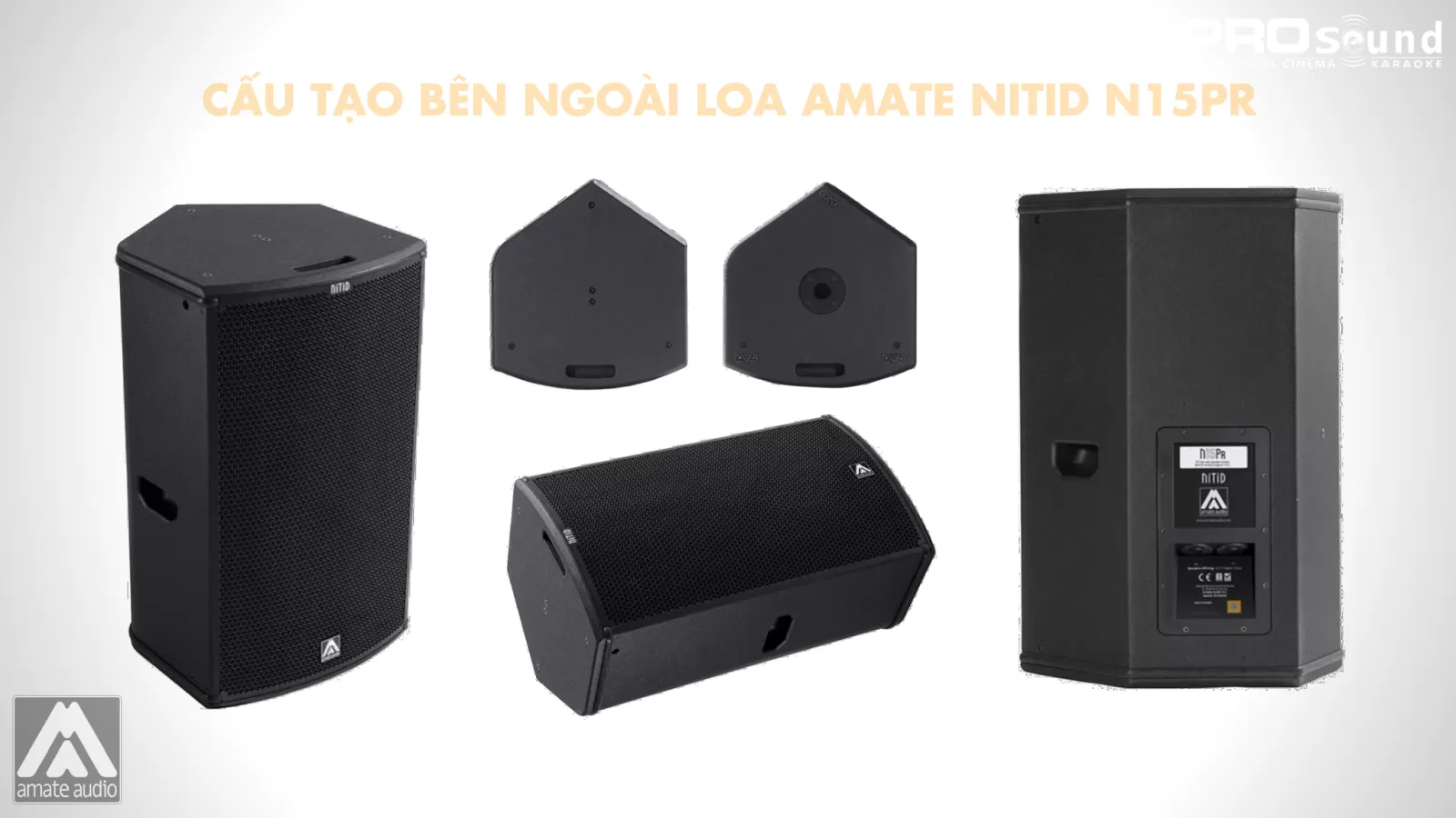 thùng loa amate n15pr