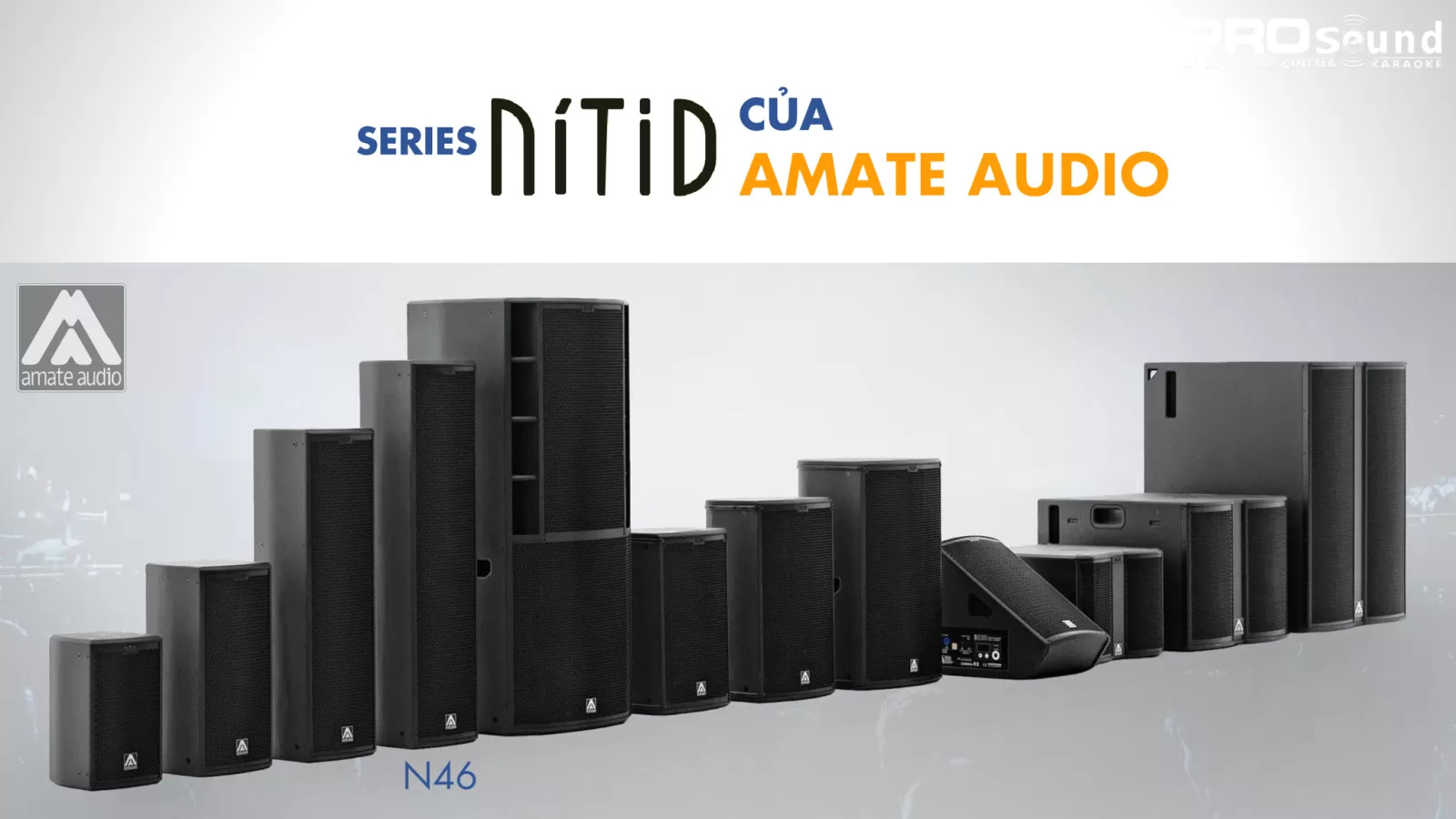 series nitid của amate