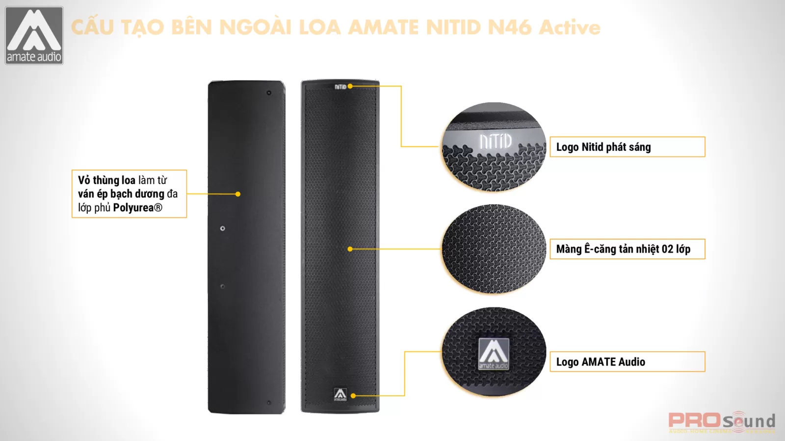 cấu tạo bên ngoài amate n46