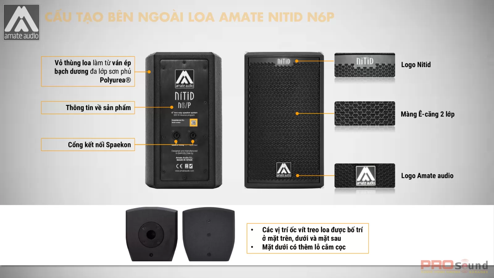 cấu tạo bên ngoài