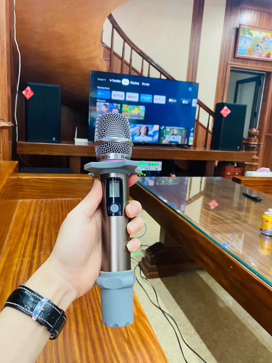 thiết kế của micro baiervires 1